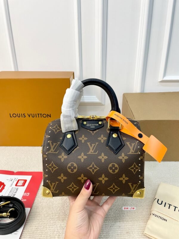 free shipping! lv speedy pillow bag
