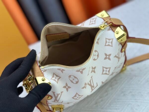 lv cruise bag 21x14x6cm
