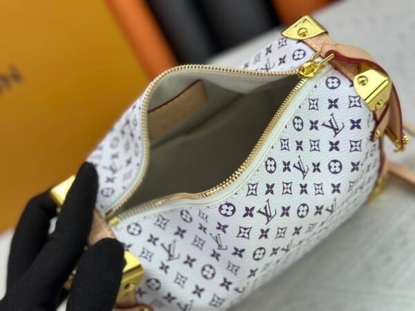 lv cruise bag 21x14x6cm