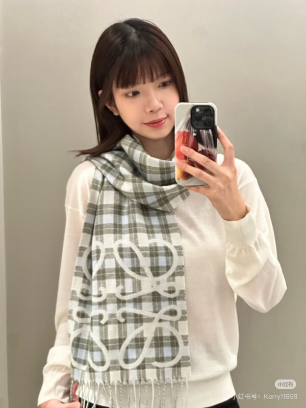 loewe scarf
